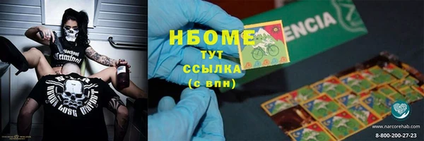 твердый Богданович